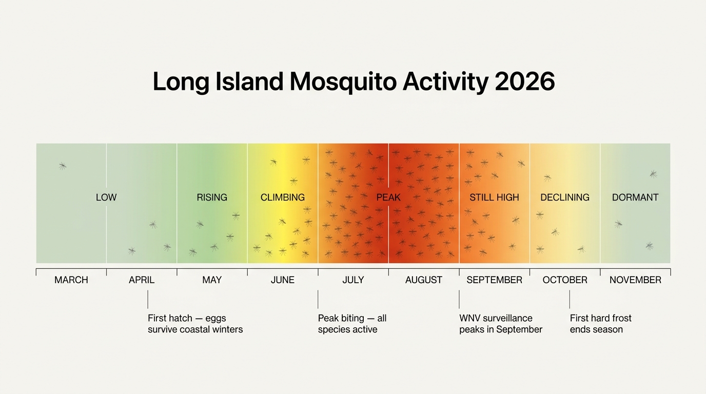 Long Island mosquito activity calendar 2026 chart showing peak from mid-June through August and West Nile surveillance peak in September
